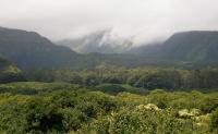 Honokaa hike: Waipi'o Valley
