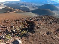 Kula hike: Sliding Sands (Keonehe'ehe'e Trail) in Haleakala National Park