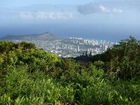 Honolulu hike: Pu'u Ohi'a Trail
