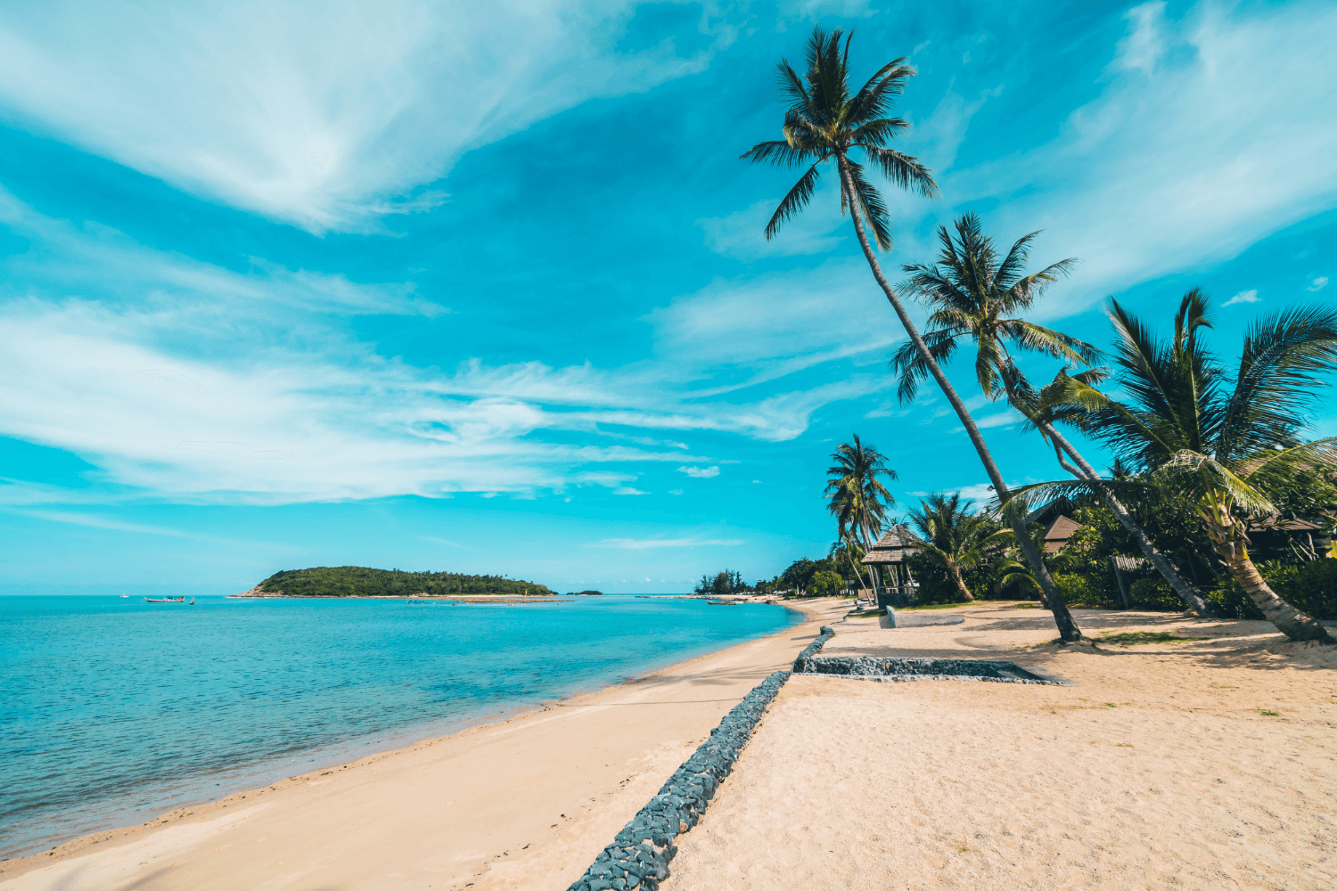 Banyan Tree Hawaii - Origin, Height, & More