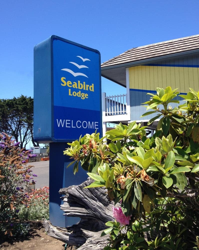 Seabird Lodge