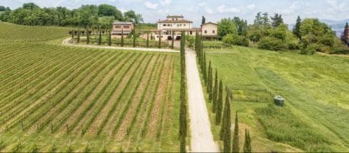 Fattoria Casagrande