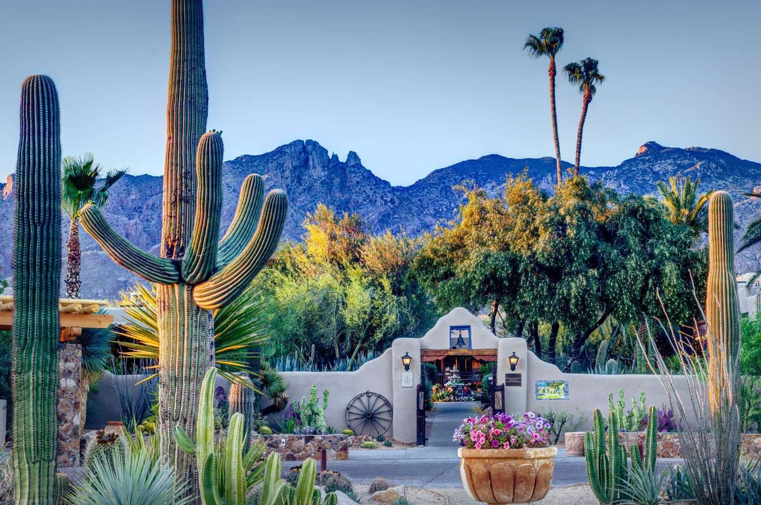 Hacienda Del Sol Guest Ranch