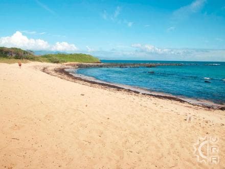 Tavares Beach