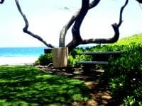 Holoholokai Beach