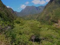 'Iao Valley