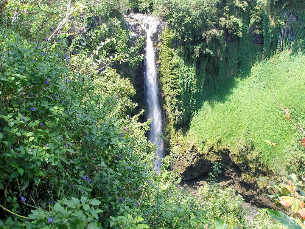 Aerial view of property