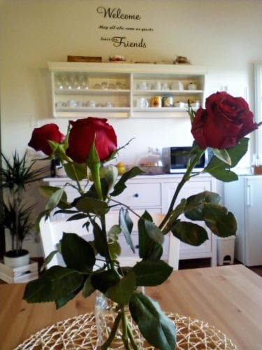 Aerial view of property