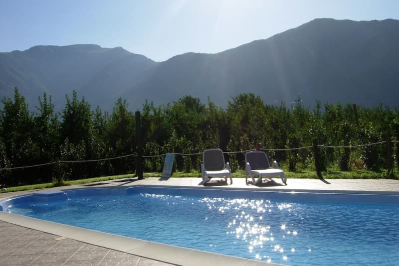 Night scene with hammock
