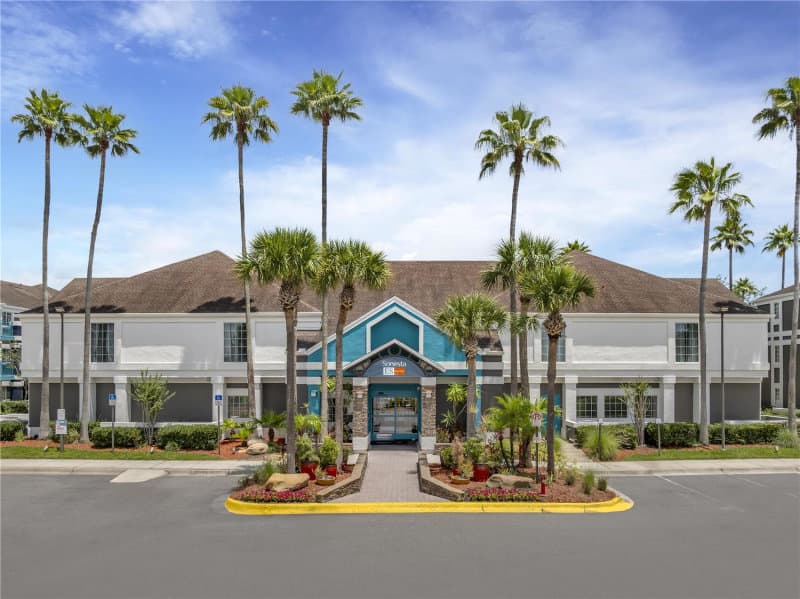 Night scene with hammock