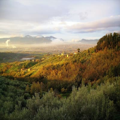 Aerial view of property