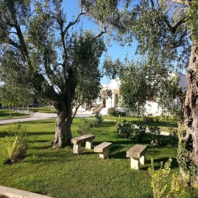Aerial view of property