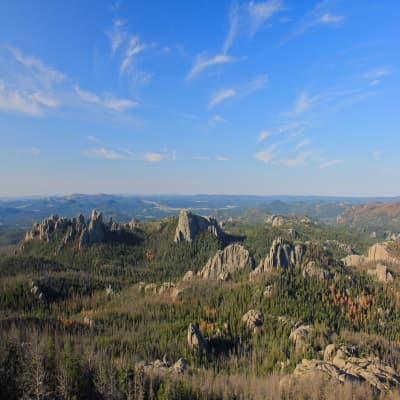 Aerial view of property