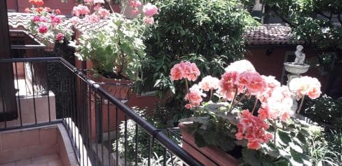 Gioia Guest House