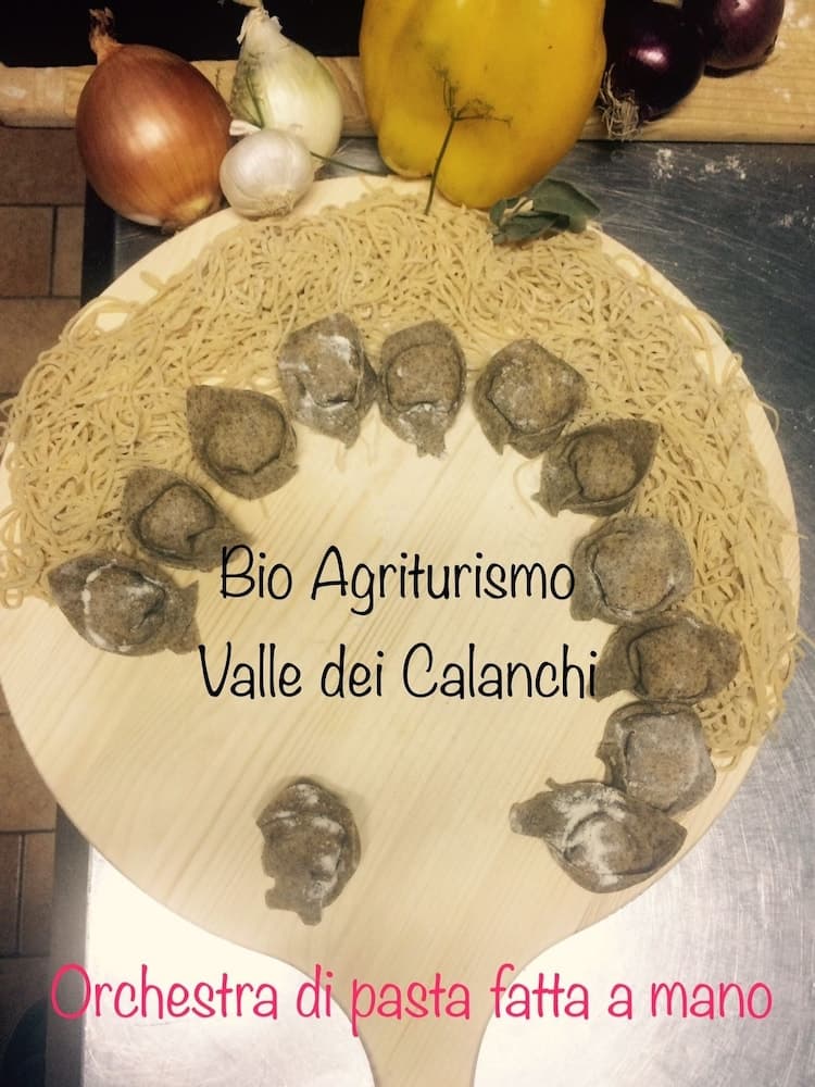 Bio Agriturismo Valle dei Calanchi