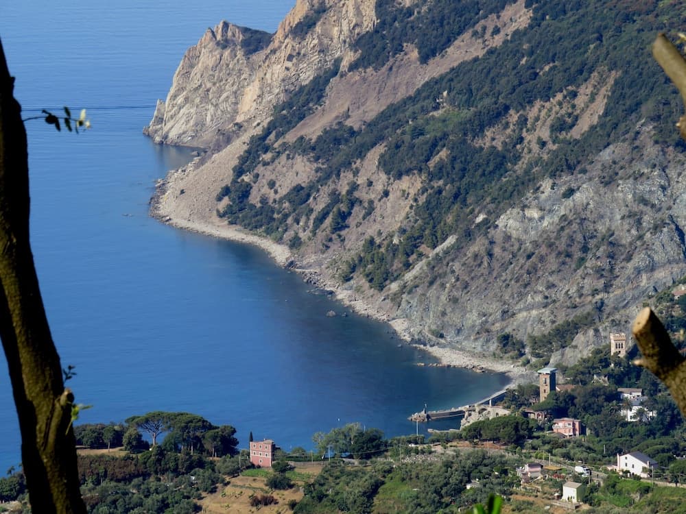 Lecci Di Soviore