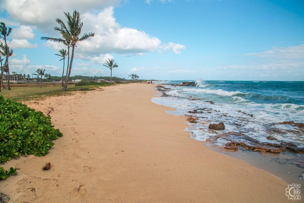 Covered patio with ocean view