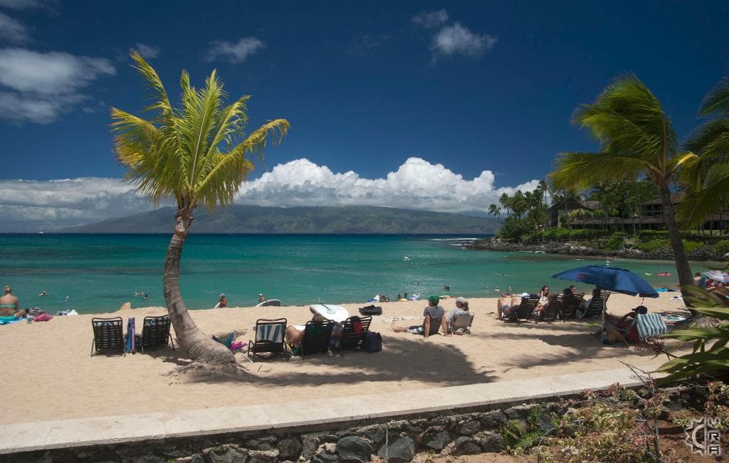 Night scene with hammock