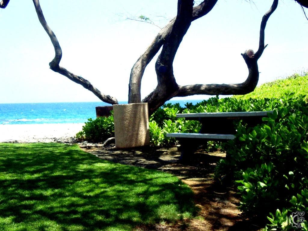 Covered patio with ocean view