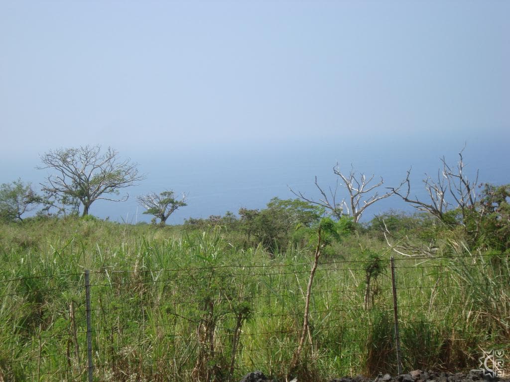 Aerial view of property