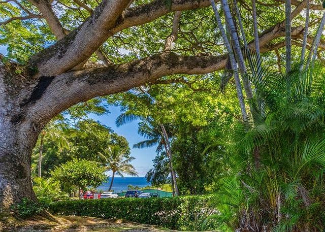 Covered patio with ocean view