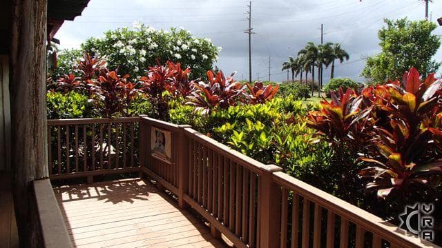 Covered patio with ocean view