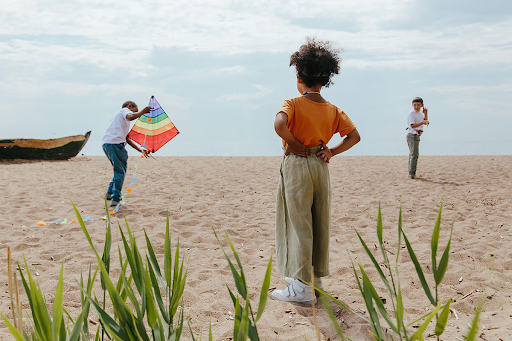 Learn how to fly a kite