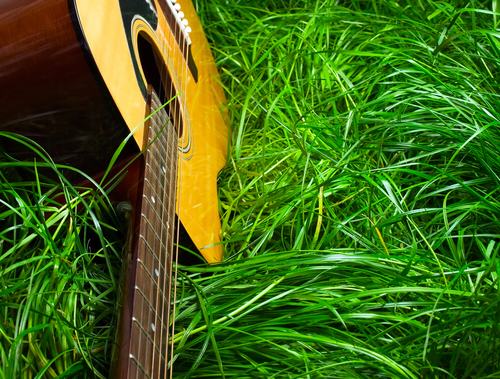 Guitar is one of the most iconic instruments in Hawaiian music.