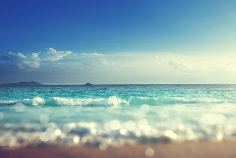 Visit one of Maui's uniquely colored beaches.