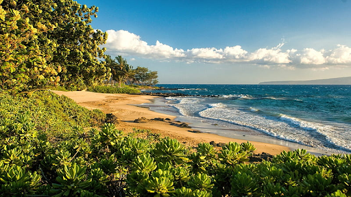 Where to Stay in Maui on a Budget