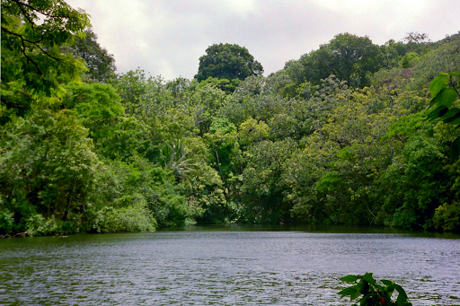 Green Lake (Ka Wai a Pele), Big Island