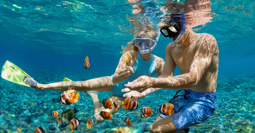 Snorkeling in Hawaii