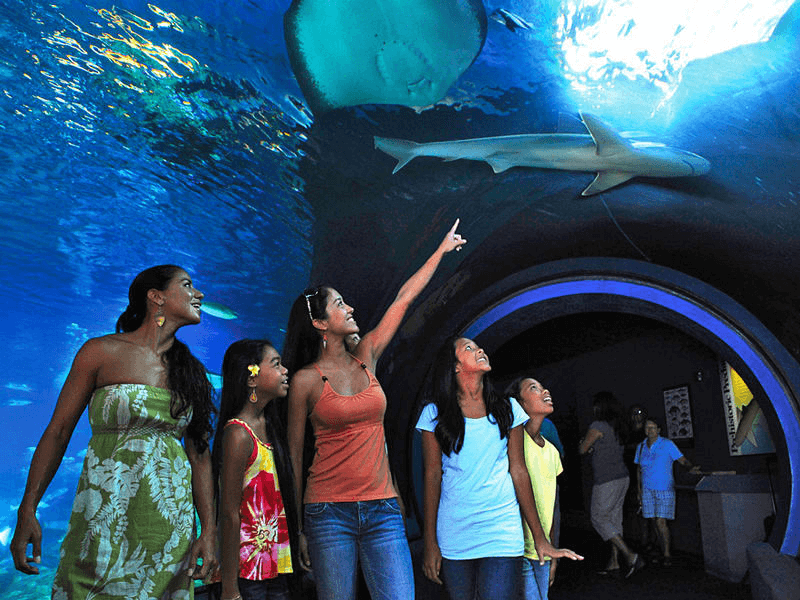 Maui Ocean Center