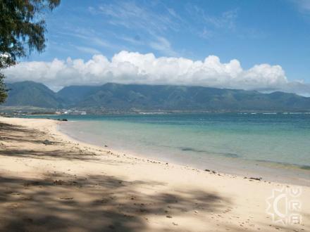 Kahului beach: Kanaha Beach