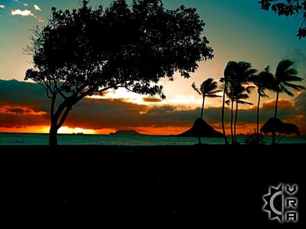 Kaneohe beach: Kaneohe Bay