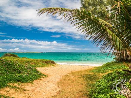 Laie beach: Hukilau Beach