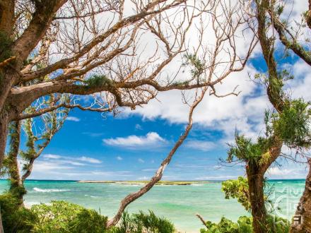 Laie beach: Malaekahana State Beach and Recreation Area