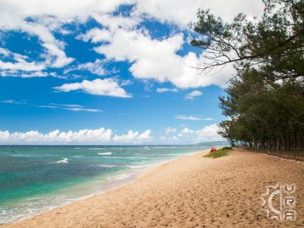 Waialua beach: Polo Beach