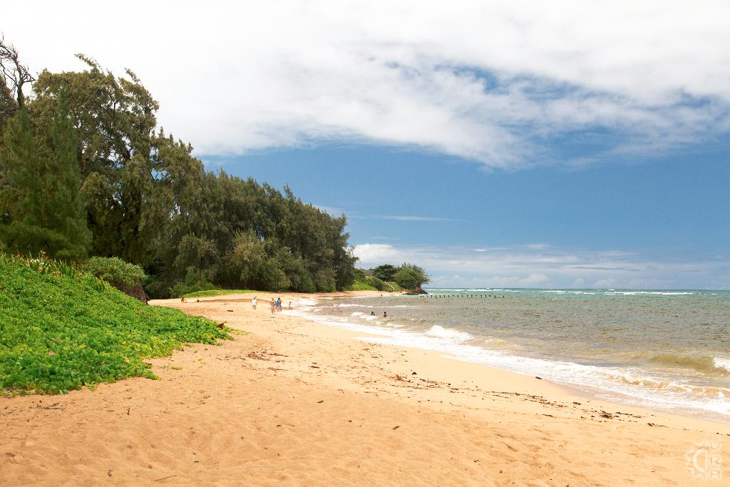Laie Beach Rentals