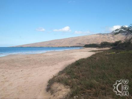 Maalaea beach: Ma'alaea Beach