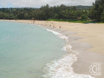 Kapalua beach: DT Fleming Beach Park