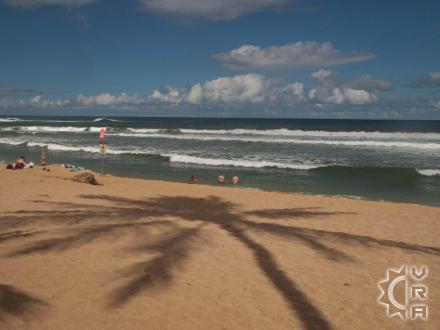 Haleiwa beach: Haleiwa Ali'i Beach Park