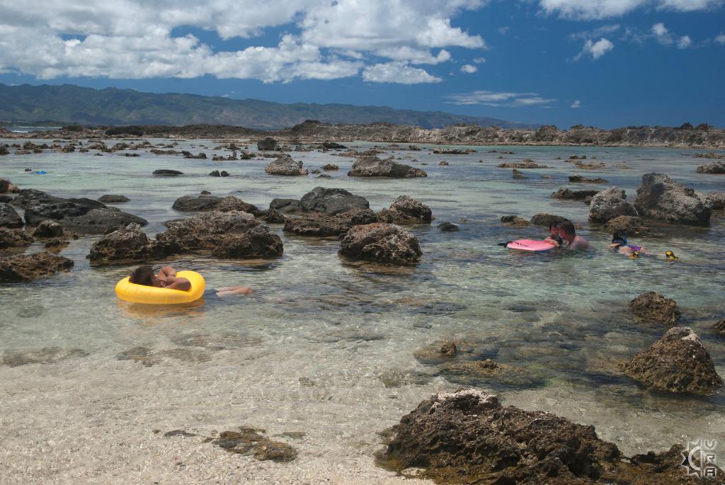 Tide Chart North Shore Oahu