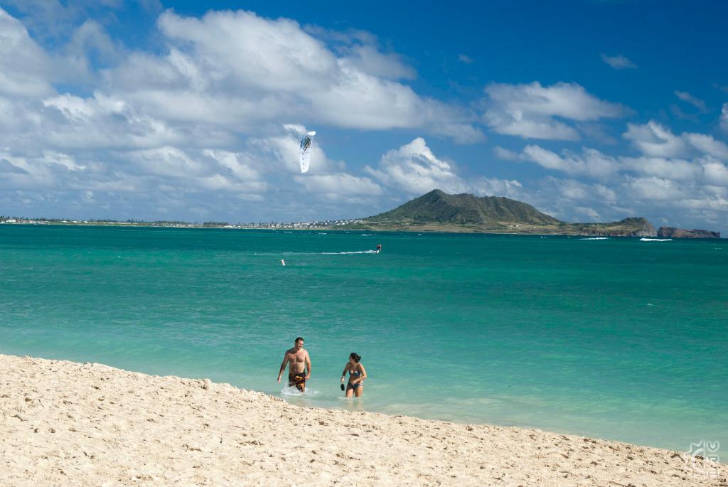 does kailua beach allow dogs