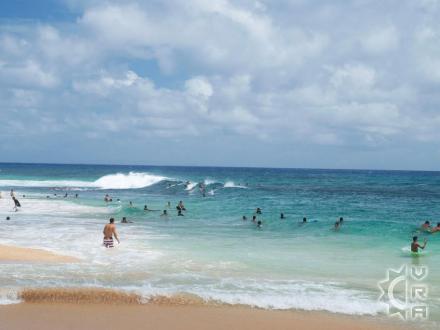 Honolulu beach: Sandy Beach Park