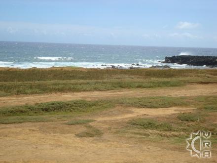 Naalehu beach: Mahana Green Sand Beach