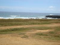 Naalehu beach: Mahana Green Sand Beach