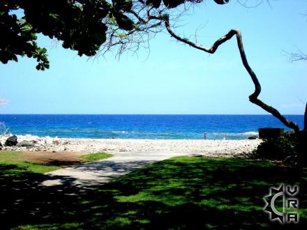 Mauna Lani beach: Holoholokai Beach