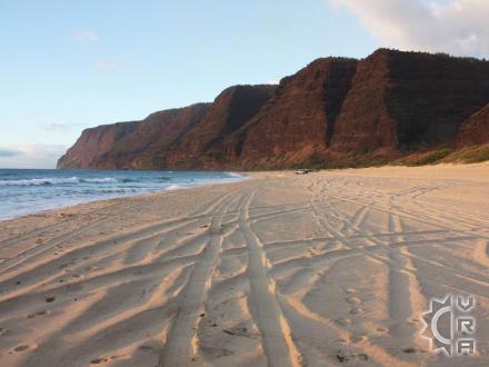 Waimea beach: Polihale State Beach Park