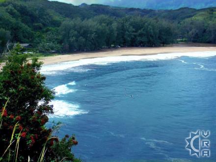 Kalihiwai beach: Kalihiwai Beach
